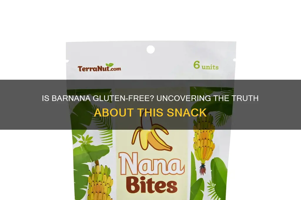 is barnana gluten free