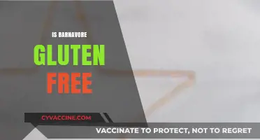 Is Barnavore Gluten-Free? Exploring Dietary Options for Celiac and Beyond