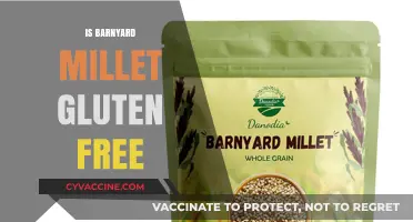 Exploring Gluten-Free Options: The Truth About Barnyard Millet