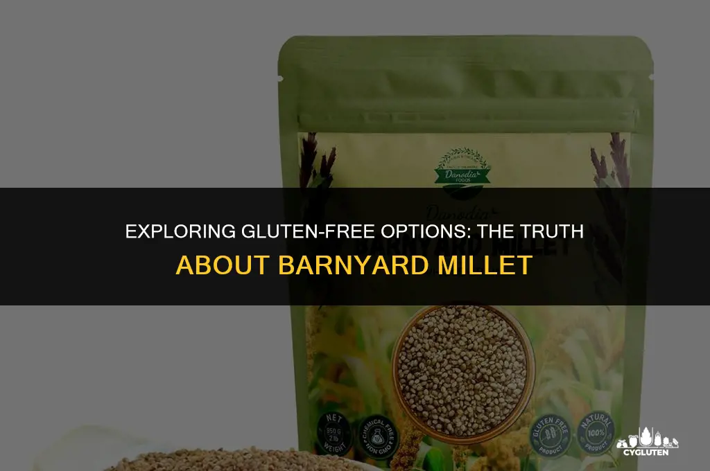 is barnyard millet gluten free