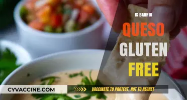 Exploring Barrio Queso: A Gluten-Free Delight or Not?