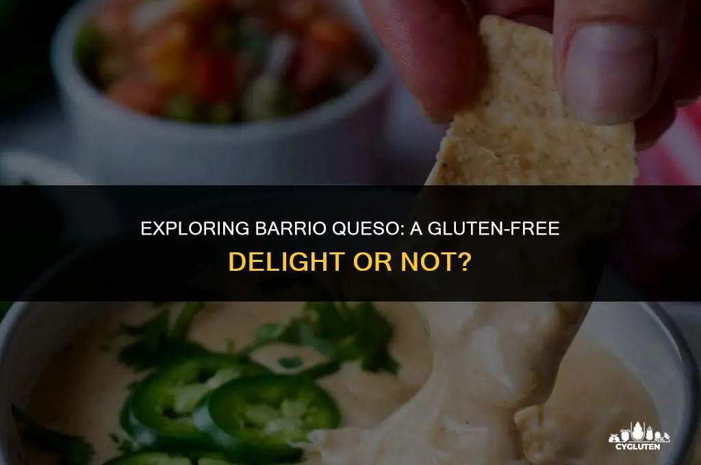 is barrio queso gluten free