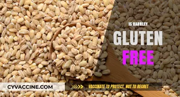 Is Barley Gluten-Free? Unraveling the Truth for a Healthy Diet