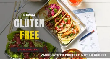 Is Bartaco Gluten-Free? Exploring Menu Options for Celiac Diners
