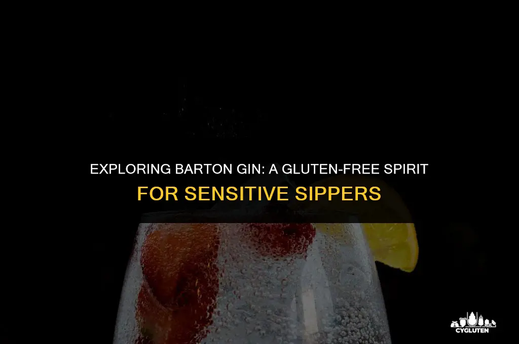 is barton gin gluten free