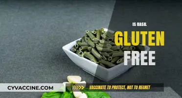 Is Basil Gluten Free? Exploring the Herb's Safety for Celiac Diets
