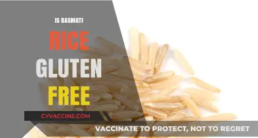 Is Basmati Rice Gluten-Free? A Complete Guide for Celiacs