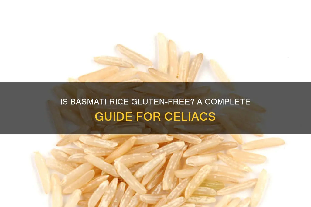 is basmati rice gluten free