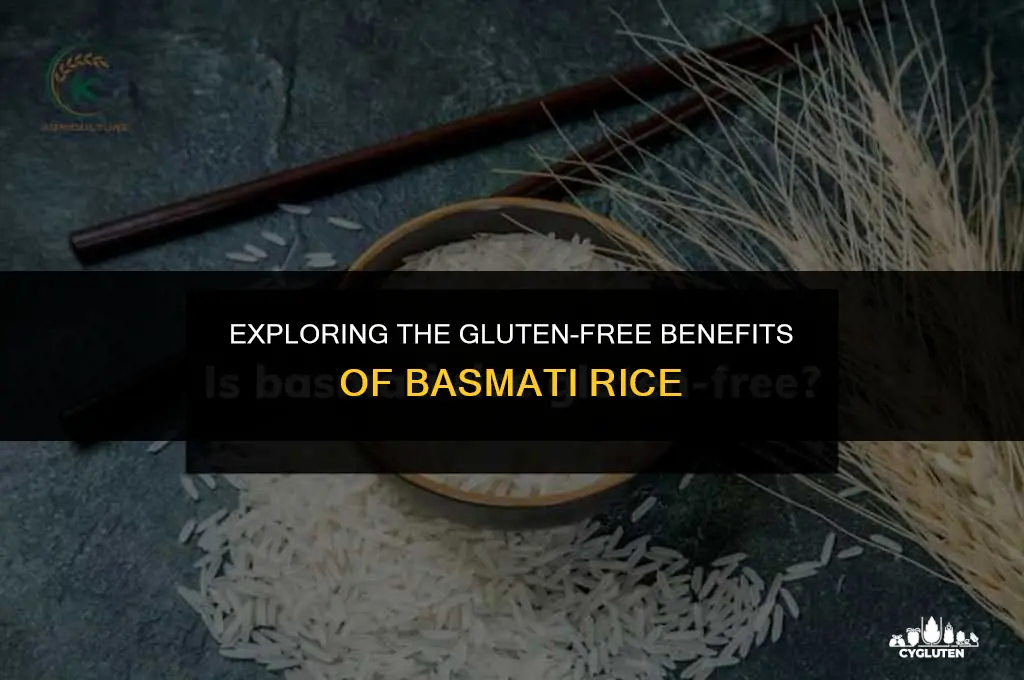 is basmati ruce gluten free