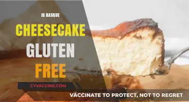 Is Basque Cheesecake Gluten-Free? A Delicious Dessert Dilemma Explained