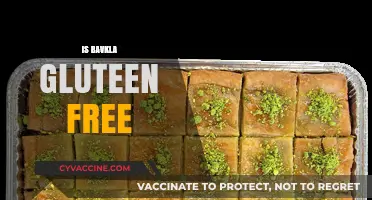 Is Baklava Gluten-Free? A Sweet Treat for Celiac Diets