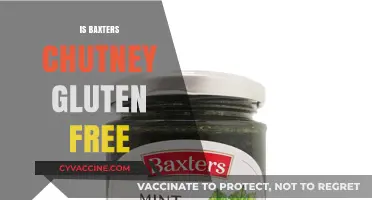 Exploring Baxter's Chutney: A Gluten-Free Delight or Not?