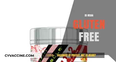 Are BCAAs Gluten-Free? Essential Facts for Fitness Enthusiasts