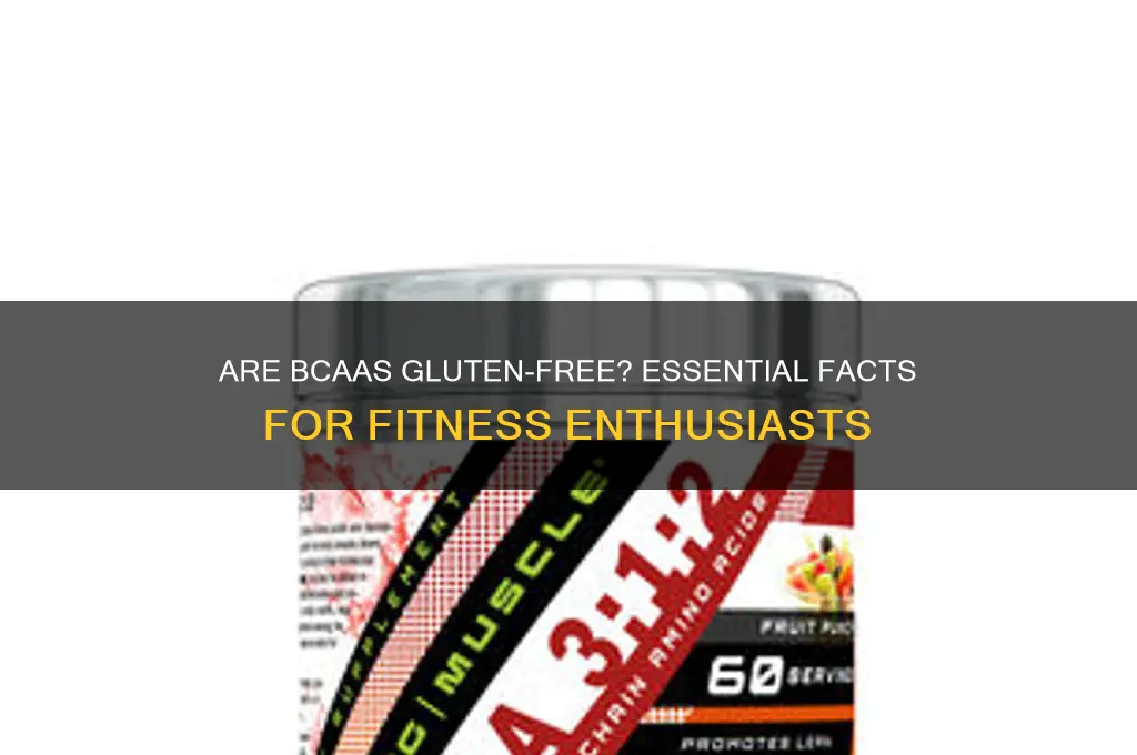 is bcaa gluten free