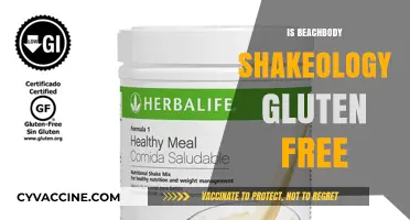 Exploring Shakeology: Is Beachbody's Popular Supplement Gluten-Free?