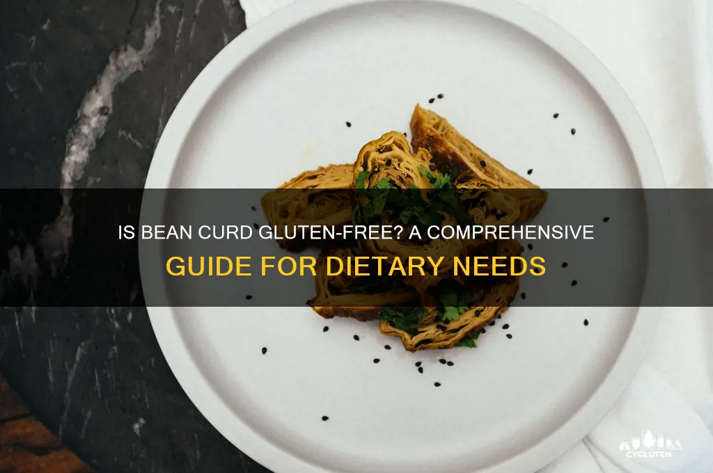 is bean curd gluten free