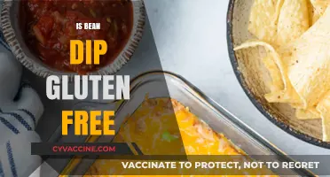 Is Bean Dip Gluten Free? A Complete Guide to Safe Snacking