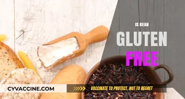 Are Beans Gluten-Free? A Comprehensive Guide to Safe Eating