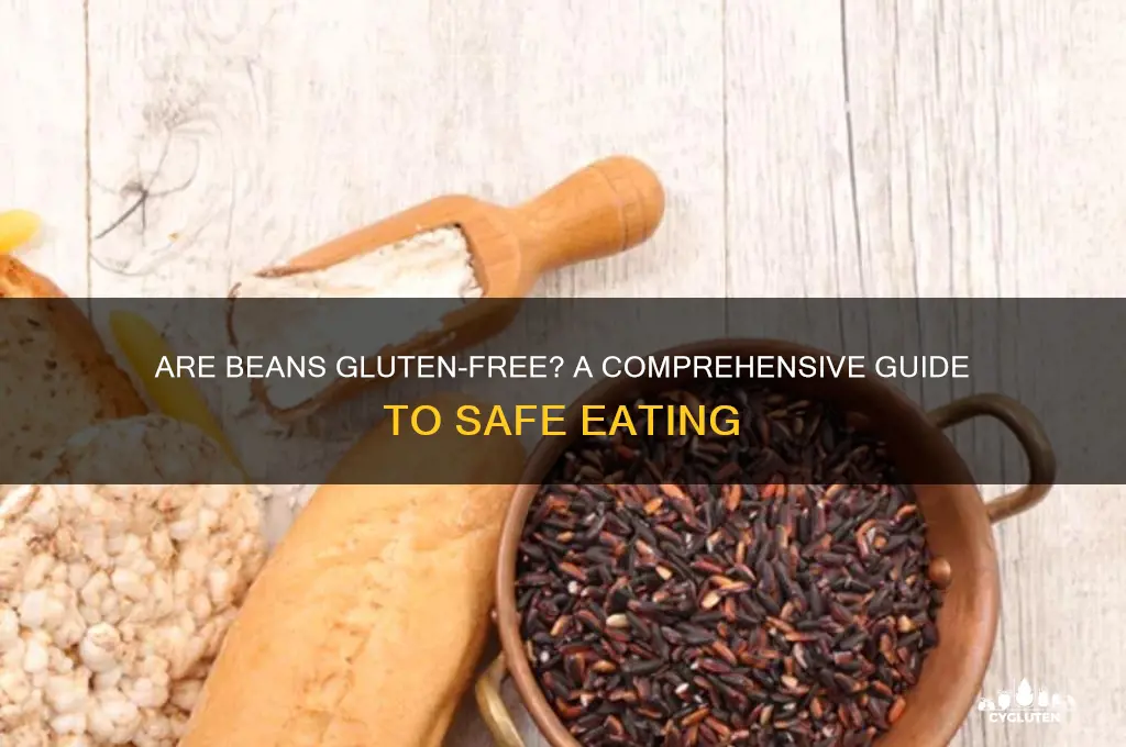 is bean gluten free