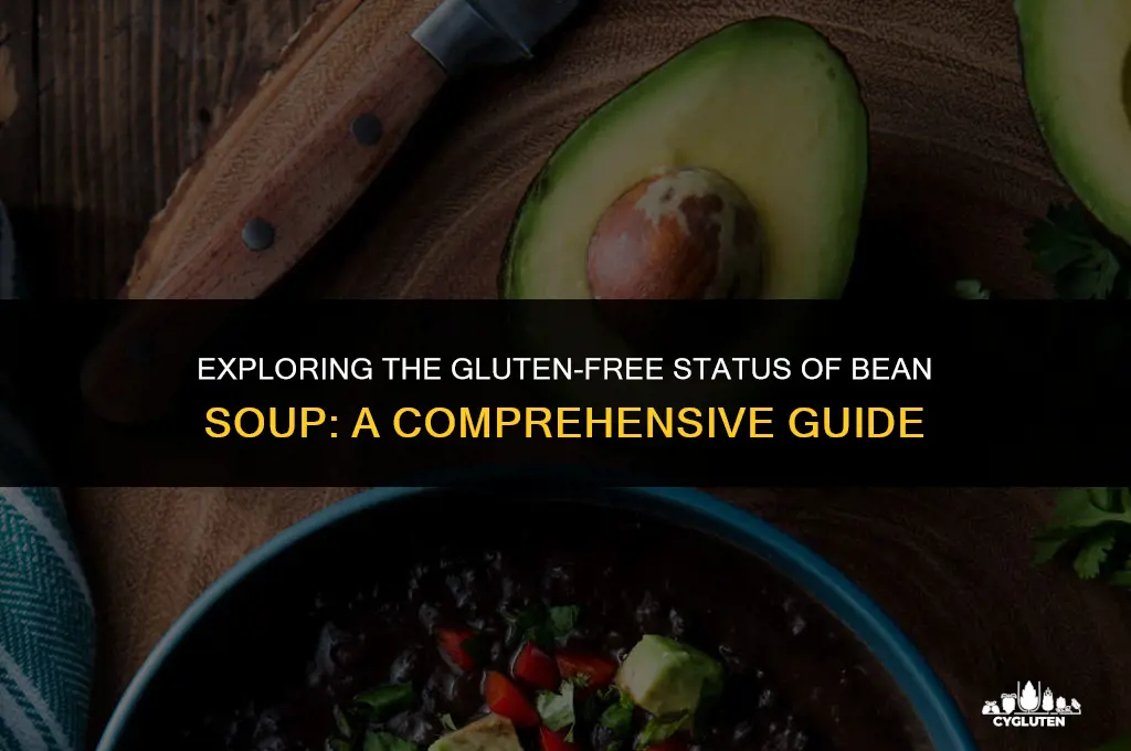 is bean soup gluten free