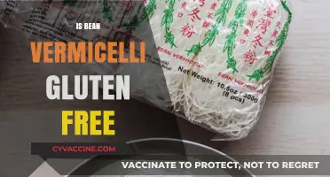 Exploring Gluten-Free Options: The Truth About Bean Vermicelli