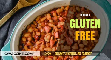 Is Beano Gluten-Free? A Comprehensive Guide for Dietary Needs