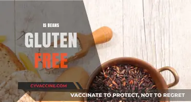 Are Beans Gluten-Free? A Clear Answer for Your Dietary Needs