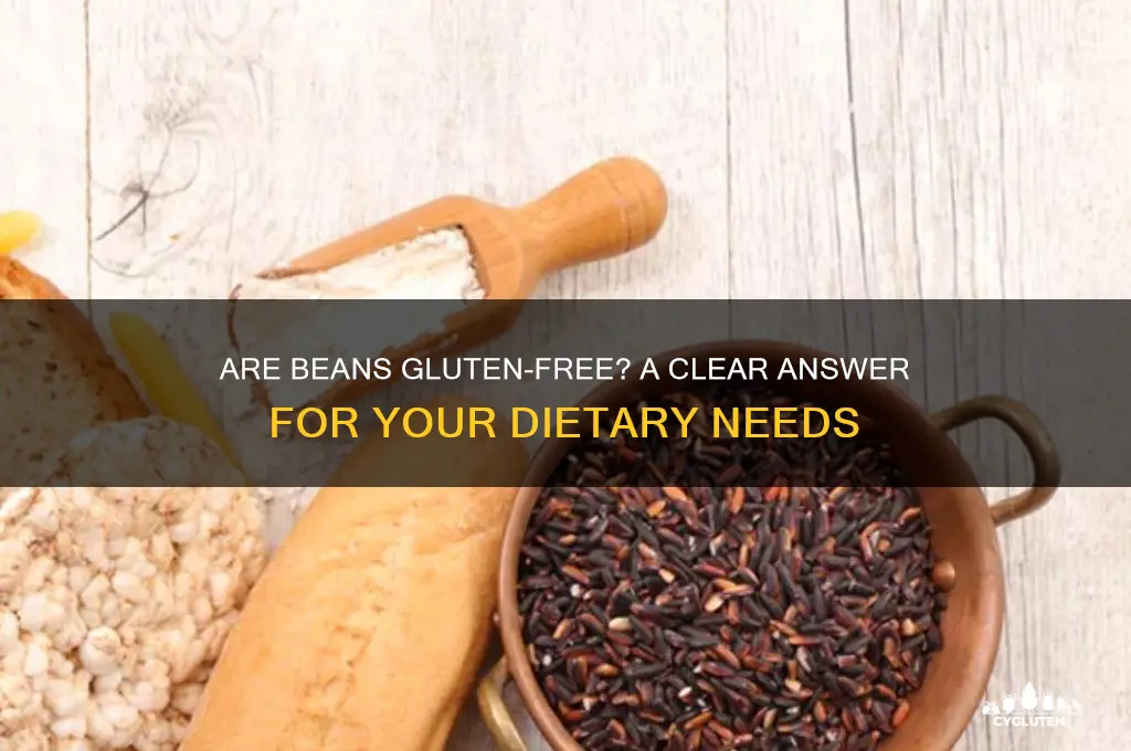 is beans gluten free