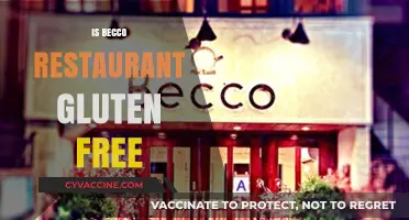 Exploring Becco Restaurant: A Gluten-Free Dining Experience