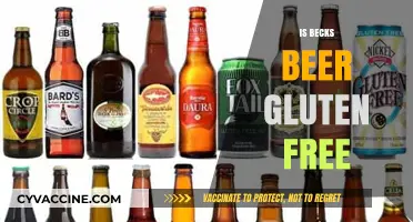 Exploring Gluten-Free Options: Is Beck's Beer a Safe Choice?
