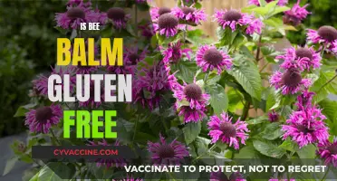Exploring Bee Balm: A Gluten-Free Option for Your Garden and Kitchen