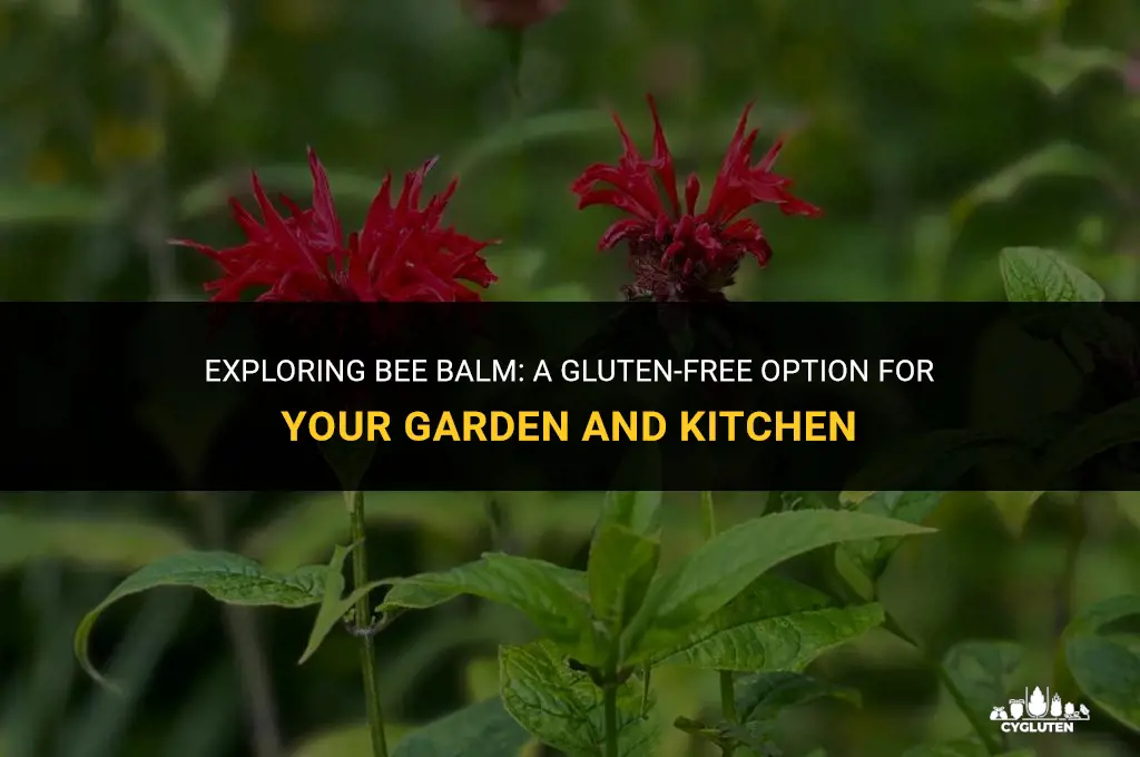 is bee balm gluten free