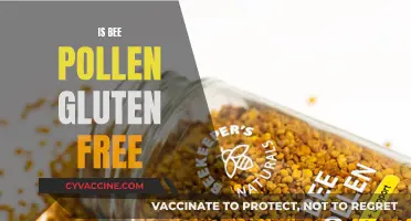 Exploring the Gluten-Free Benefits of Bee Pollen: A Complete Guide