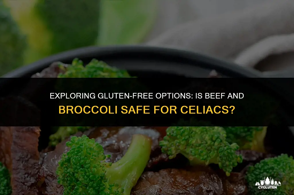 is beef broccoli gluten free