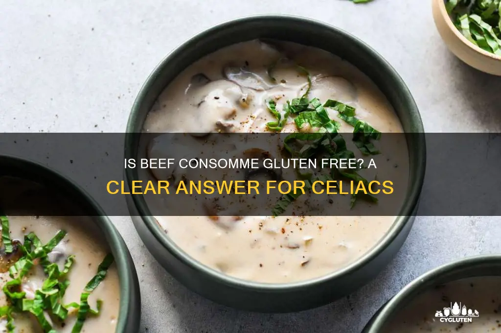 is beef consomme gluten free