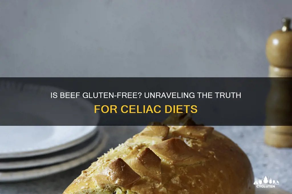 is beef gluten-free