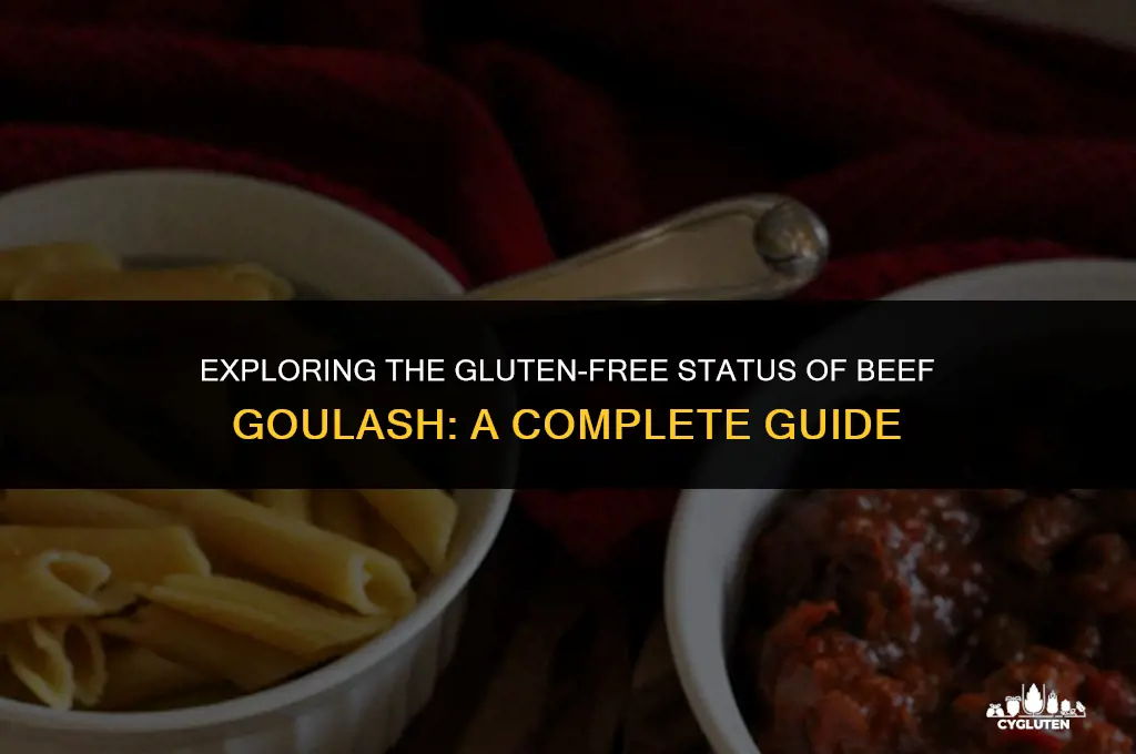 is beef goulash gluten free