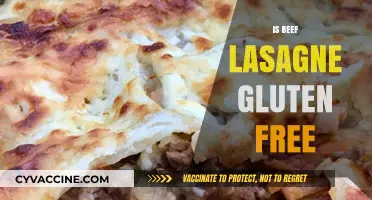 Exploring Gluten-Free Options: Is Beef Lasagne Safe for Celiacs?