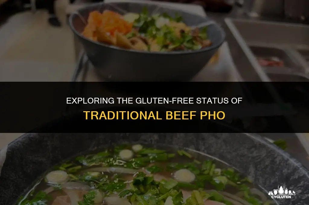 is beef pho gluten free