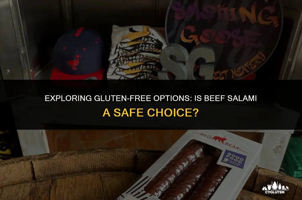 is beef salami gluten free