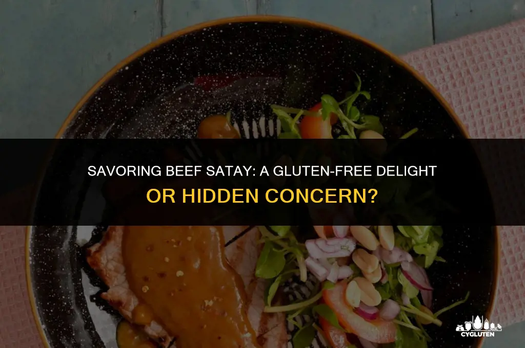is beef satay gluten free
