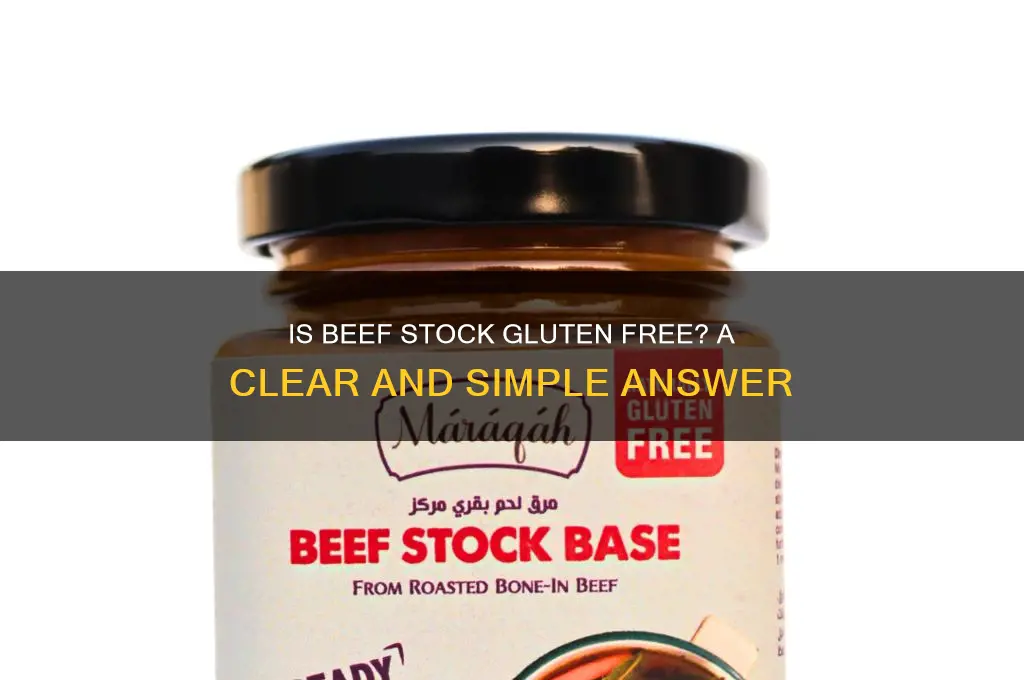 is beef stock gluten free