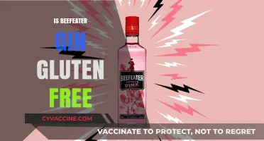 Is Beefeater Gin Gluten-Free? A Complete Guide for Gin Lovers
