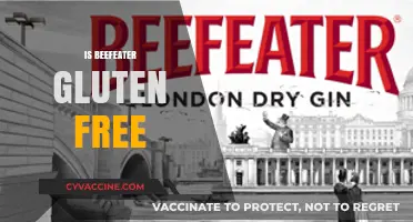 Is Beefeater Gin Gluten-Free? A Complete Guide for Drinkers
