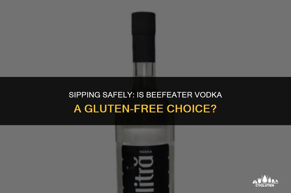 is beefeater vodka gluten free