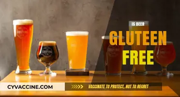 Is Beer Gluten-Free? Exploring Options for Celiac and Sensitive Drinkers