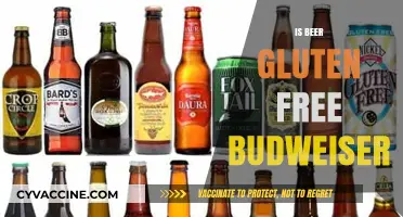Exploring Gluten-Free Options: Is Budweiser Beer Safe for Celiacs?