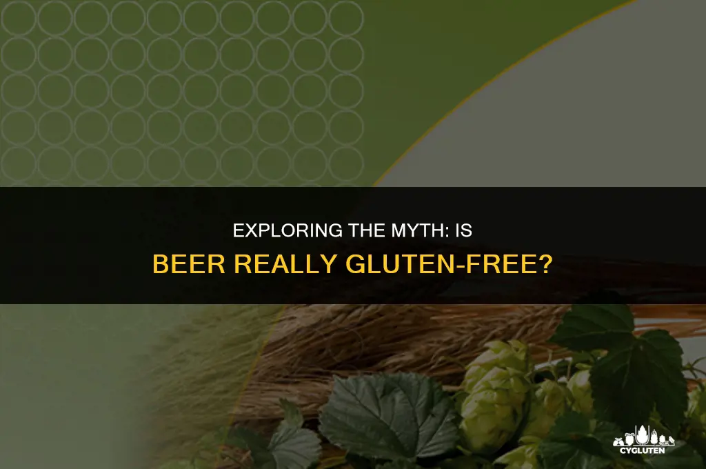 is beer gluten free diet