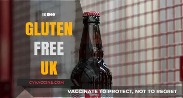Exploring Gluten-Free Beer Options in the UK: A Comprehensive Guide