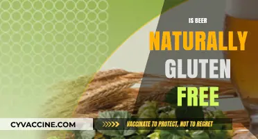 Exploring the Myth: Is Beer Naturally Gluten-Free?